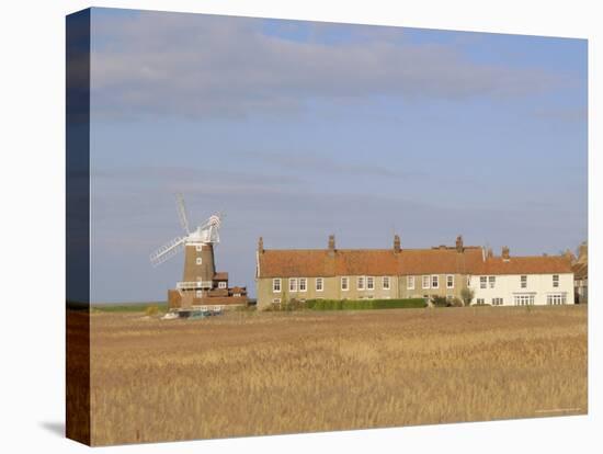 Reedbeds and Cley Windmill, Norfolk, England-Pearl Bucknell-Stretched Canvas