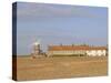 Reedbeds and Cley Windmill, Norfolk, England-Pearl Bucknell-Stretched Canvas