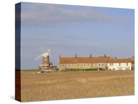 Reedbeds and Cley Windmill, Norfolk, England-Pearl Bucknell-Stretched Canvas
