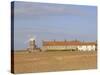 Reedbeds and Cley Windmill, Norfolk, England-Pearl Bucknell-Stretched Canvas