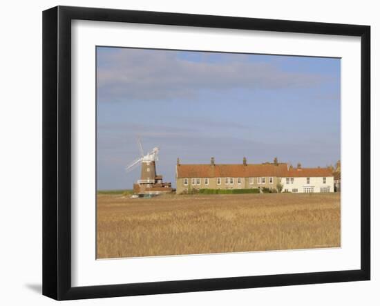 Reedbeds and Cley Windmill, Norfolk, England-Pearl Bucknell-Framed Photographic Print