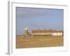 Reedbeds and Cley Windmill, Norfolk, England-Pearl Bucknell-Framed Photographic Print