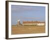 Reedbeds and Cley Windmill, Norfolk, England-Pearl Bucknell-Framed Photographic Print