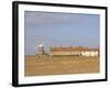 Reedbeds and Cley Windmill, Norfolk, England-Pearl Bucknell-Framed Photographic Print