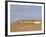 Reedbeds and Cley Windmill, Norfolk, England-Pearl Bucknell-Framed Photographic Print