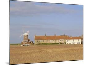 Reedbeds and Cley Windmill, Norfolk, England-Pearl Bucknell-Mounted Photographic Print