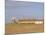 Reedbeds and Cley Windmill, Norfolk, England-Pearl Bucknell-Mounted Photographic Print