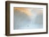 Reedbeds at Dawn with Coot (Fulica Atra) in Mist, Lakenheath Fen Rspb Reserve, Suffolk, UK, May-Terry Whittaker-Framed Photographic Print