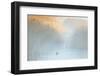 Reedbeds at Dawn with Coot (Fulica Atra) in Mist, Lakenheath Fen Rspb Reserve, Suffolk, UK, May-Terry Whittaker-Framed Photographic Print