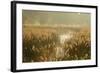 Reedbeds (Phragmites Australis) at Sunrise, Lakenheath Fen Rspb Reserve, Suffolk, UK, May-Terry Whittaker-Framed Photographic Print