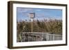 Reedgrass along wooden boardwalk-Jim Engelbrecht-Framed Photographic Print