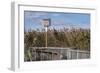 Reedgrass along wooden boardwalk-Jim Engelbrecht-Framed Photographic Print