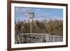 Reedgrass along wooden boardwalk-Jim Engelbrecht-Framed Photographic Print
