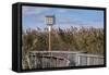 Reedgrass along wooden boardwalk-Jim Engelbrecht-Framed Stretched Canvas