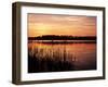 Reedmace Silhouetted in Foreground at Sunset, Frensham Great Pond, Near Farnham, Surrey, England-Pearl Bucknall-Framed Photographic Print