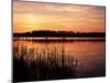 Reedmace Silhouetted in Foreground at Sunset, Frensham Great Pond, Near Farnham, Surrey, England-Pearl Bucknall-Mounted Photographic Print