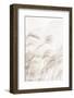 Reeds_001-1x Studio III-Framed Photographic Print