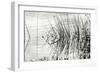 Reeds 2-Lee Peterson-Framed Photographic Print