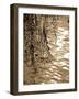 Reeds 8166-Rica Belna-Framed Giclee Print