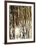 Reeds 8167-Rica Belna-Framed Giclee Print