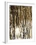 Reeds 8167-Rica Belna-Framed Giclee Print