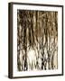 Reeds 8167-Rica Belna-Framed Giclee Print