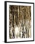 Reeds 8167-Rica Belna-Framed Giclee Print