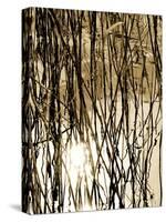 Reeds 8167-Rica Belna-Stretched Canvas