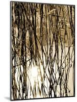 Reeds 8167-Rica Belna-Mounted Giclee Print