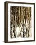 Reeds 8167-Rica Belna-Framed Giclee Print