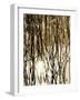 Reeds 8167-Rica Belna-Framed Giclee Print