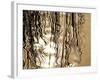 Reeds 8169-Rica Belna-Framed Giclee Print