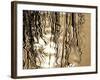 Reeds 8169-Rica Belna-Framed Giclee Print