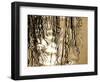 Reeds 8169-Rica Belna-Framed Premium Giclee Print