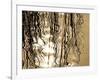 Reeds 8169-Rica Belna-Framed Giclee Print