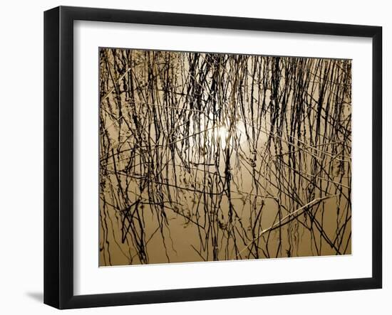 Reeds 8170-Rica Belna-Framed Giclee Print