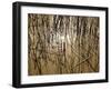 Reeds 8170-Rica Belna-Framed Giclee Print