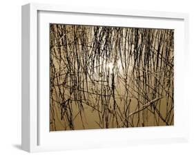 Reeds 8170-Rica Belna-Framed Giclee Print