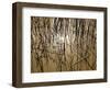 Reeds 8170-Rica Belna-Framed Giclee Print