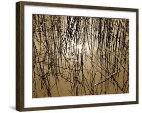 Reeds 8170-Rica Belna-Framed Giclee Print