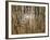 Reeds 8170-Rica Belna-Framed Giclee Print