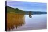 Reeds and an Islet in Lough Macnean, County Fermanagh, Northern Ireland-null-Stretched Canvas