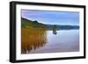 Reeds and an Islet in Lough Macnean, County Fermanagh, Northern Ireland-null-Framed Photographic Print