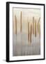 Reeds and Leaves I-Jennifer Goldberger-Framed Art Print