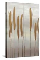 Reeds and Leaves II-Jennifer Goldberger-Stretched Canvas
