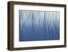 Reeds and reflection Thornton Lake, Hiawatha National Forest, Michigan.-Adam Jones-Framed Photographic Print