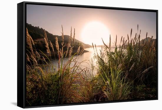 Reeds and Setting Sun at the Shore of Qiandao Lake in Zhejiang Province, China, Asia-Andreas Brandl-Framed Stretched Canvas