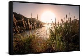 Reeds and Setting Sun at the Shore of Qiandao Lake in Zhejiang Province, China, Asia-Andreas Brandl-Framed Stretched Canvas