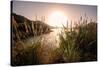 Reeds and Setting Sun at the Shore of Qiandao Lake in Zhejiang Province, China, Asia-Andreas Brandl-Stretched Canvas
