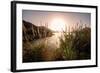 Reeds and Setting Sun at the Shore of Qiandao Lake in Zhejiang Province, China, Asia-Andreas Brandl-Framed Photographic Print